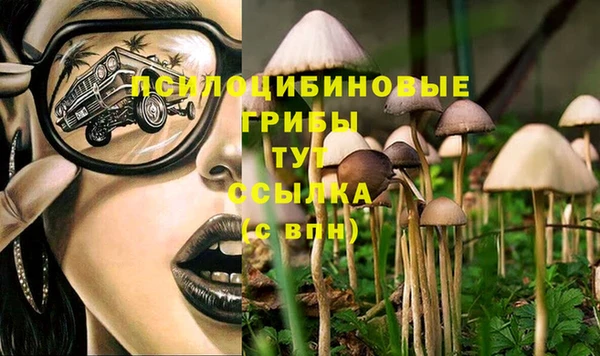 дурь Инта