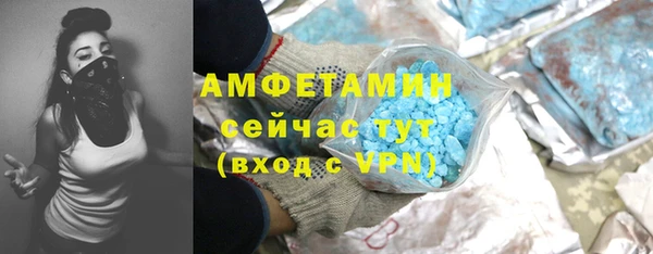 дурь Инсар