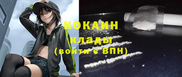 дурь Инта
