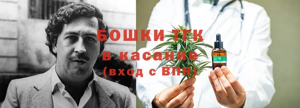 дурь Инсар
