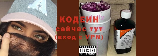 дурь Инта