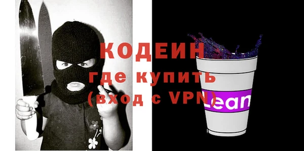 дурь Инсар