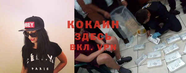 дурь Инсар