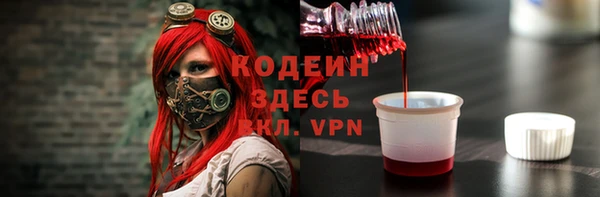 дурь Инта