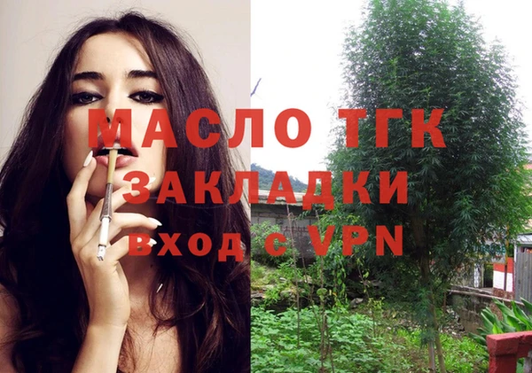 дурь Инта