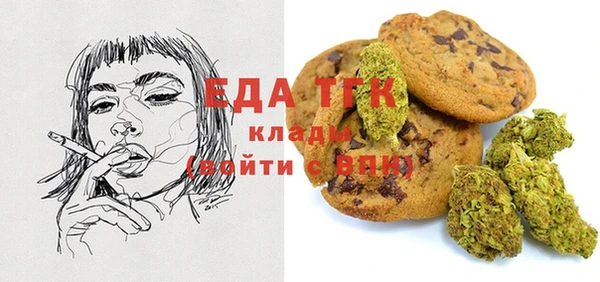 дурь Инсар