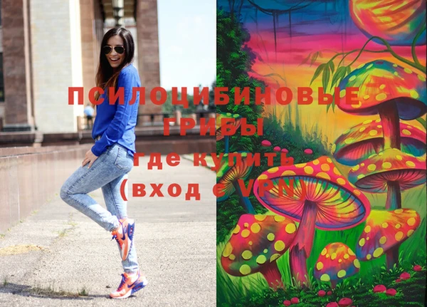 дурь Инта