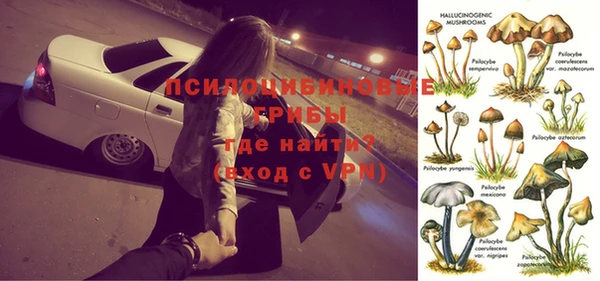 дурь Инсар