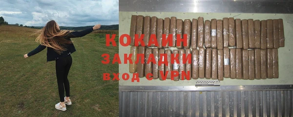 дурь Инсар