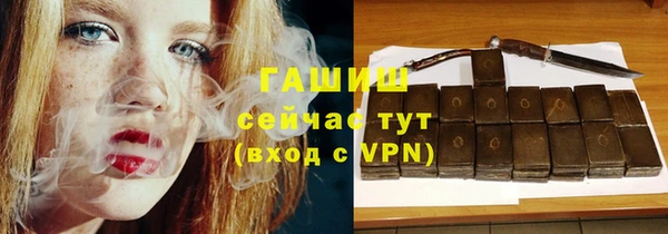 дурь Инта