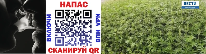 Купить где  Биробиджан  Марихуана Amnesia 